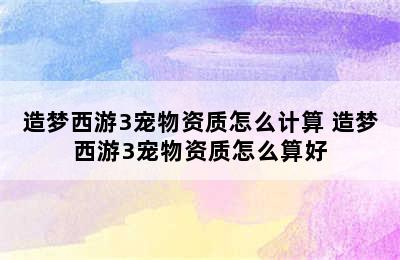 造梦西游3宠物资质怎么计算 造梦西游3宠物资质怎么算好